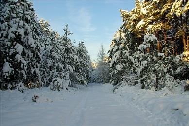 手绘风格解密游戏《怪物之家2: 勋章》Steam页面开放 发售日待定